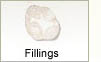 Fillings